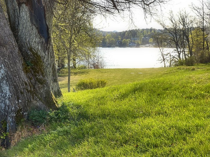 Natur och klippor vid Tollare
